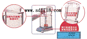Т�����M����ƽ,51g,0.001g